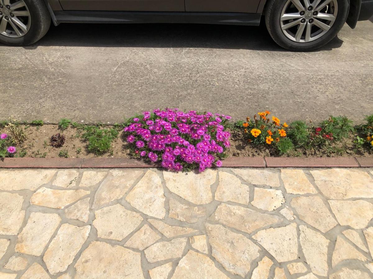 Lux Hus Novi Sad Apartment Veternik Bagian luar foto